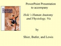 Hole's: Human Anatomy & Physiology