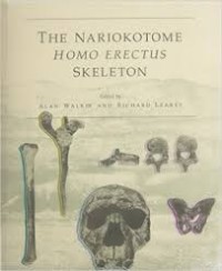 The Nariokotome Homo Erectus Skeleton