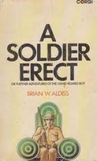 A Soldier Erect