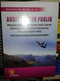 Audit sektor publik