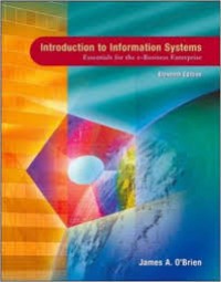 Introduction To Information Systems: Essentials For The E-Business Enterprise