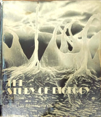 The Study Of Biology