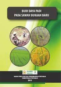 Budi Daya Padi Pada sawah Bukaan Baru